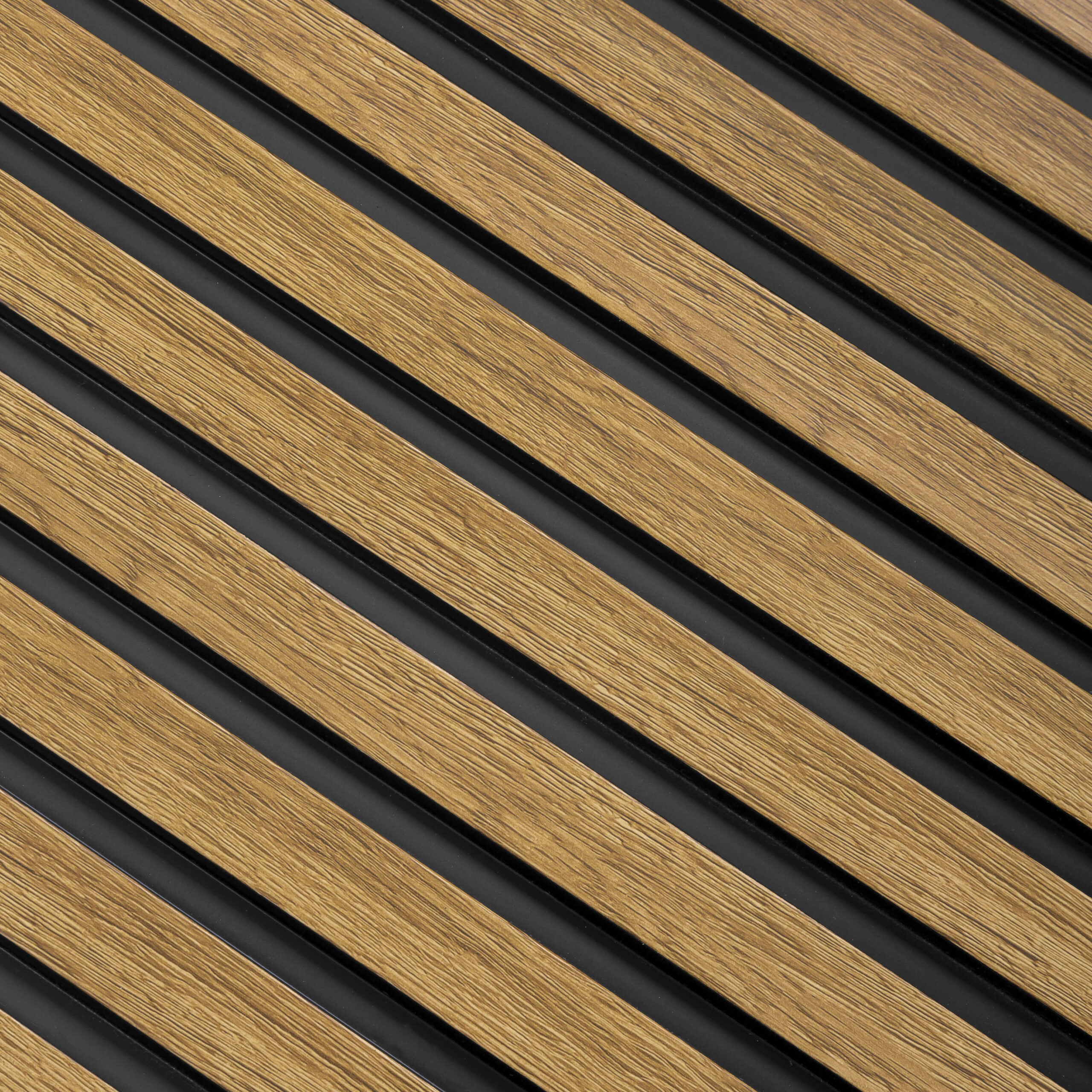 L0205_dab naturalny_1