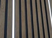 PXL_20230628_104539624.MP