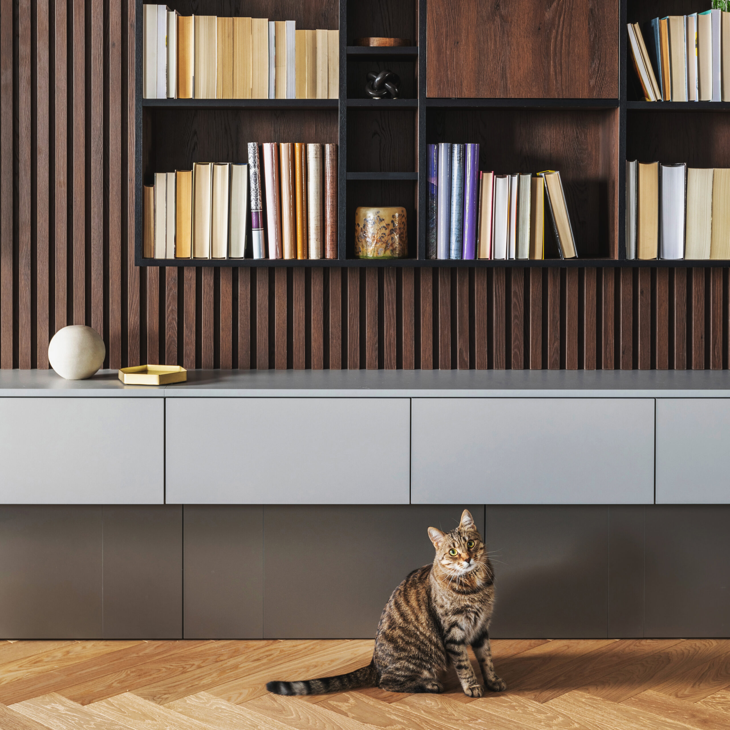 Modern bookcase in lamells wall. Grey chest of drawers. Bookcase